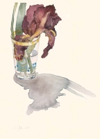 Braune Iris, 2005, Aquarell und Graphit auf Hadern