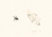 Aus der Serie: Die Fliegen, 2006/07, Monotypie, Öl auf Japan-Simili-Papier, Plattenformat ca. 7x10 cm